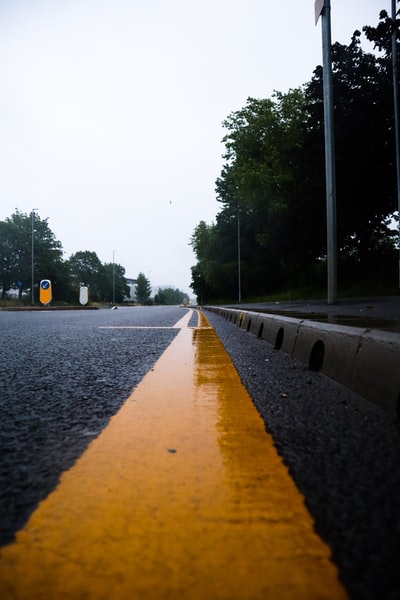 白天树木之间的灰色混凝土道路